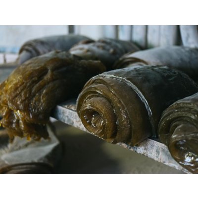 画像8: 神戸クラシック | 台カラー ネイビー 鼻緒カラー ネイビー